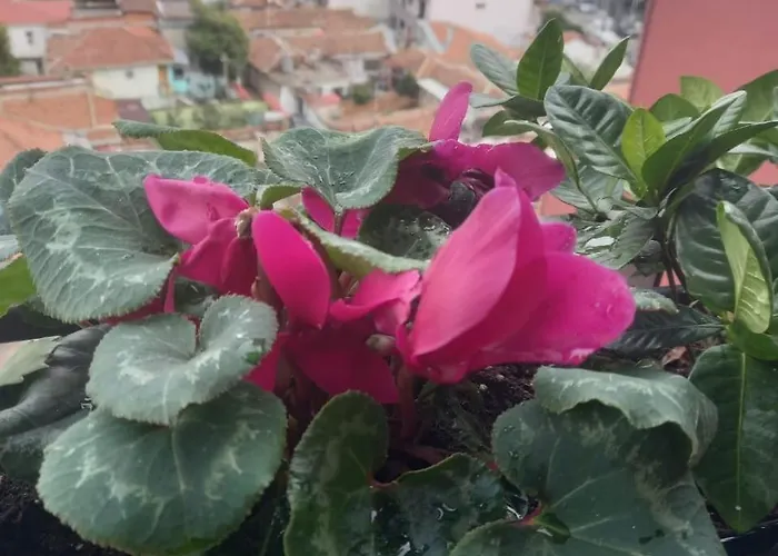 Gardenia Sui Appartement *